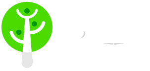 Recreación y Turismo FOE